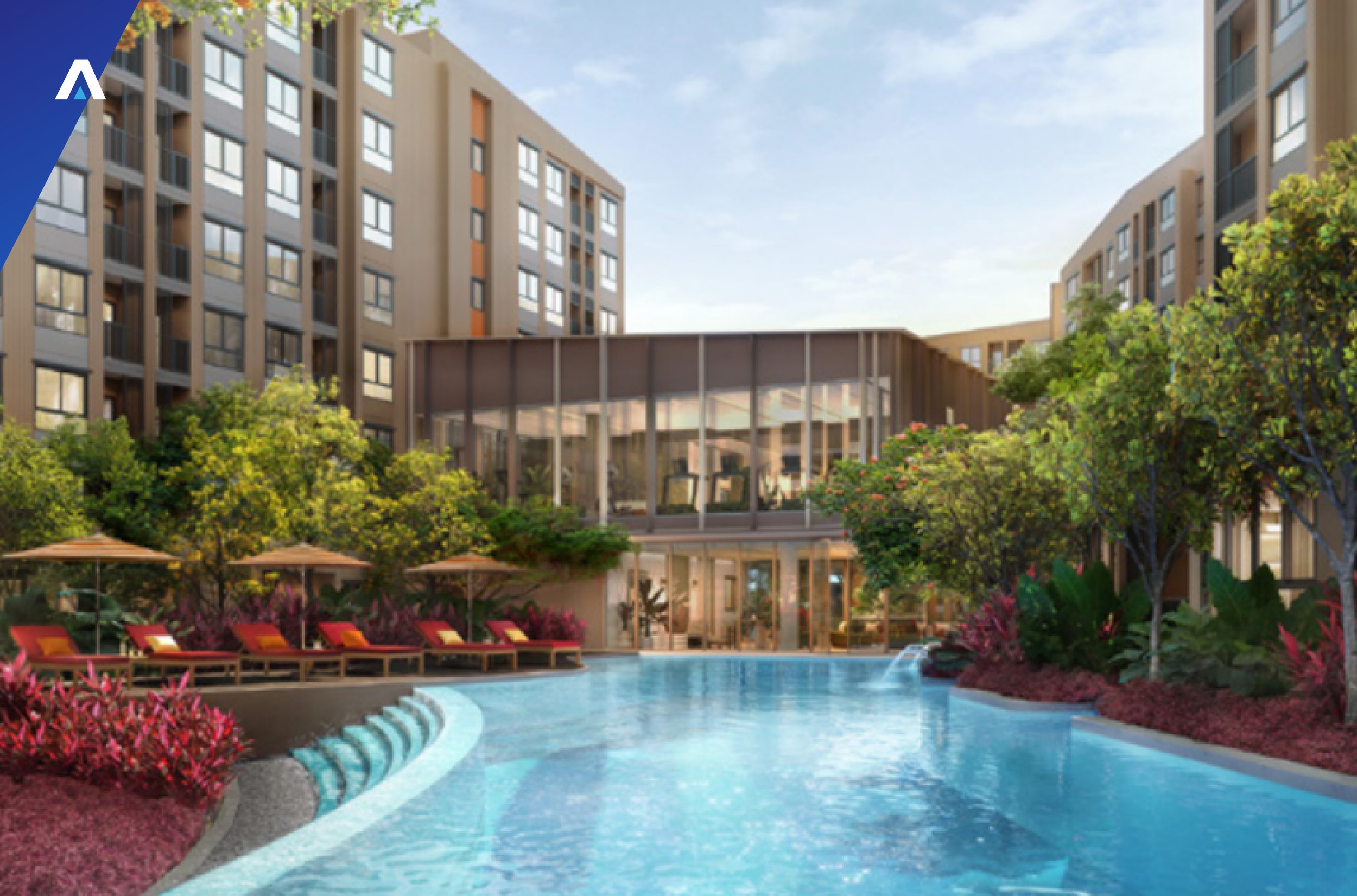 dcondo cove