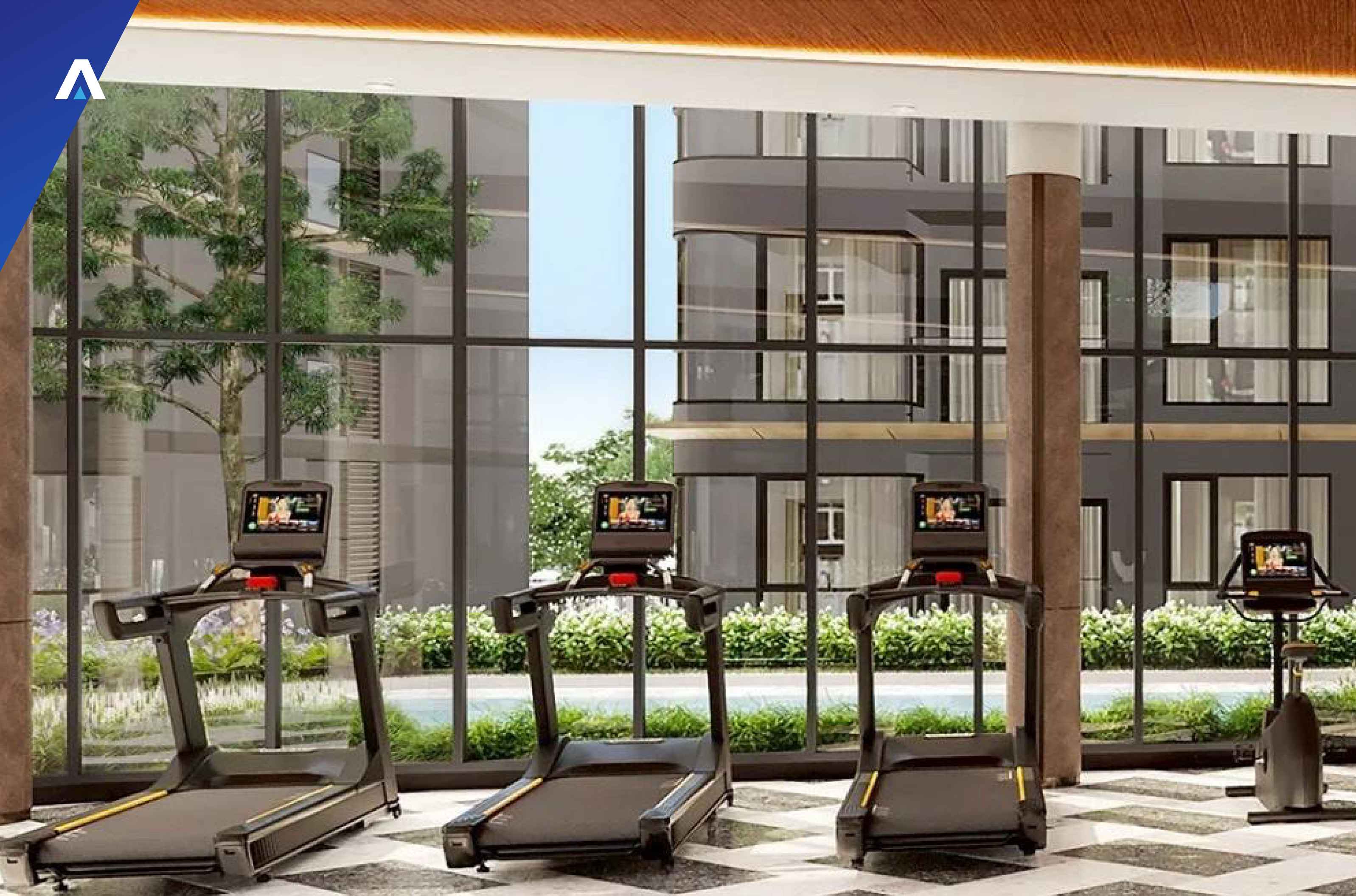Phyll Phuket II